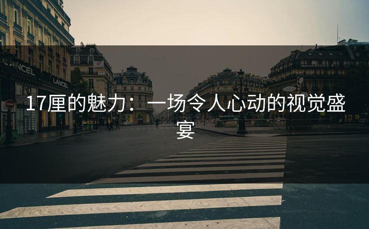 17厘的魅力：一场令人心动的视觉盛宴