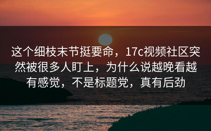 这个细枝末节挺要命，17c视频社区突然被很多人盯上，为什么说越晚看越有感觉，不是标题党，真有后劲