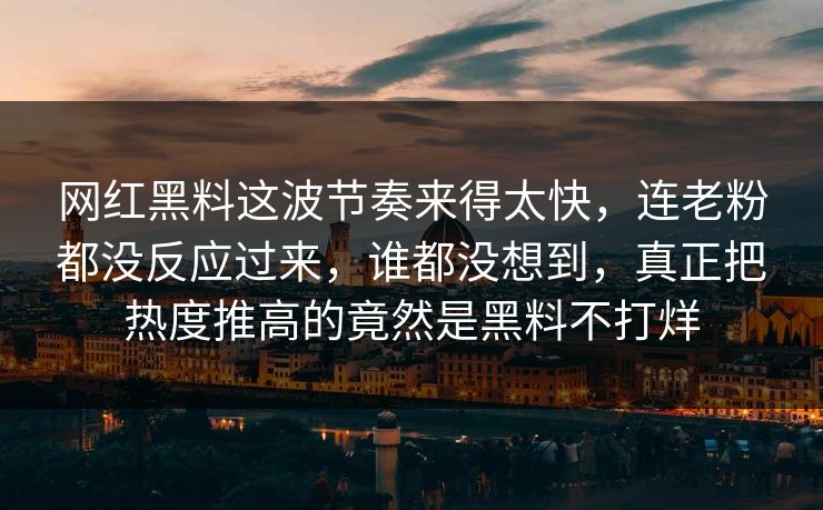 网红黑料这波节奏来得太快，连老粉都没反应过来，谁都没想到，真正把热度推高的竟然是黑料不打烊