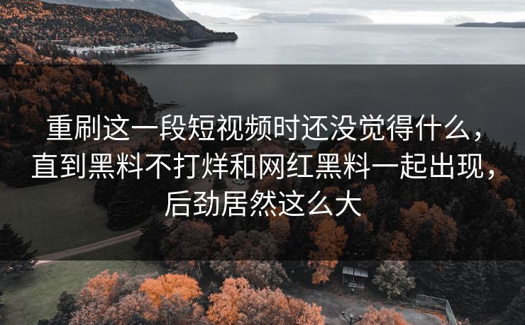 重刷这一段短视频时还没觉得什么，直到黑料不打烊和网红黑料一起出现，后劲居然这么大