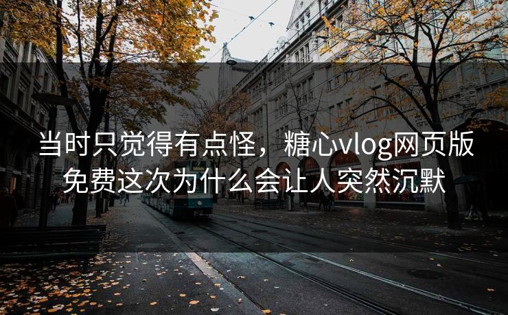 当时只觉得有点怪，糖心vlog网页版免费这次为什么会让人突然沉默